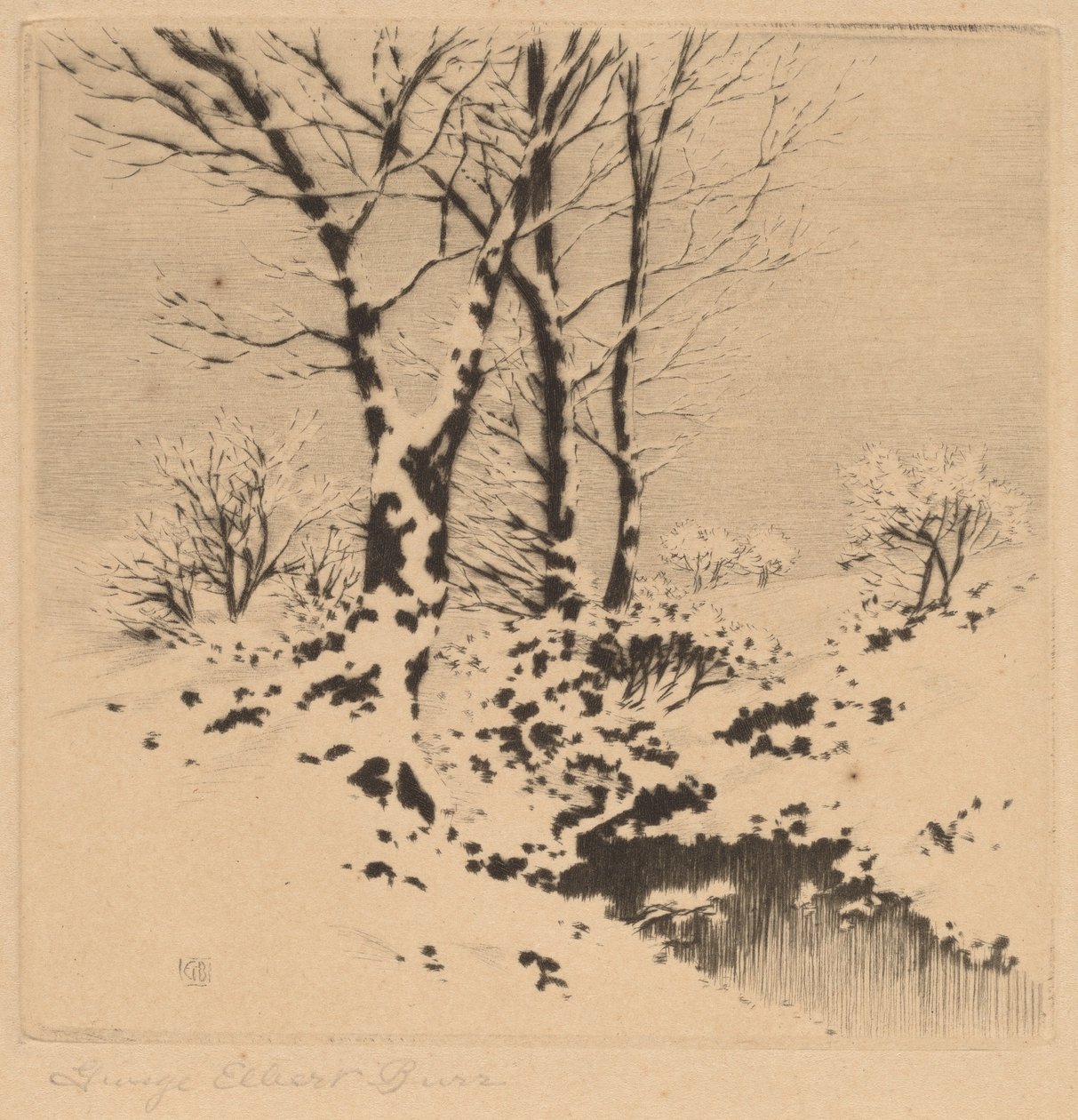 Neve de George Elbert Burr