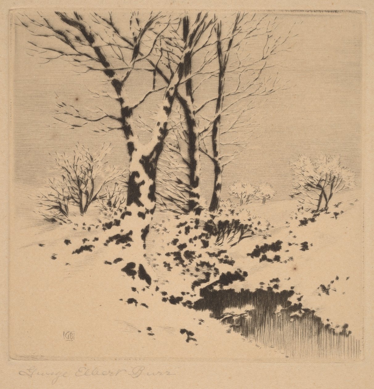 Neve de George Elbert Burr