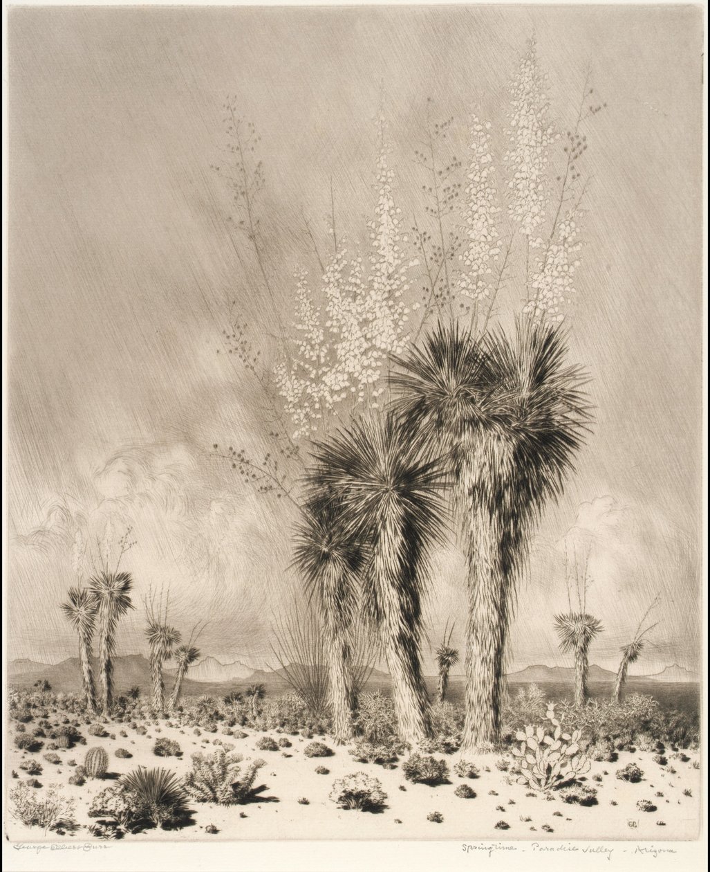 Primavera, Paradise Valley, Arizona de George Elbert Burr