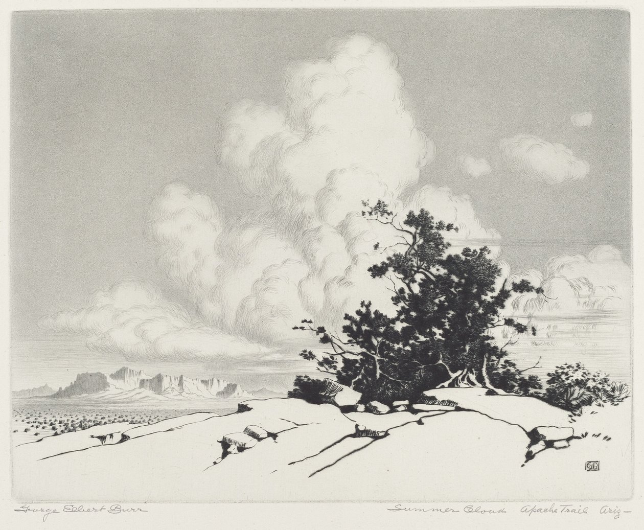 Nuvem de verão, Apache Trail, Arizona de George Elbert Burr