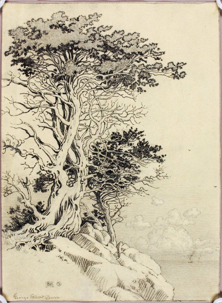 Sem título (desenho para impressão) de George Elbert Burr
