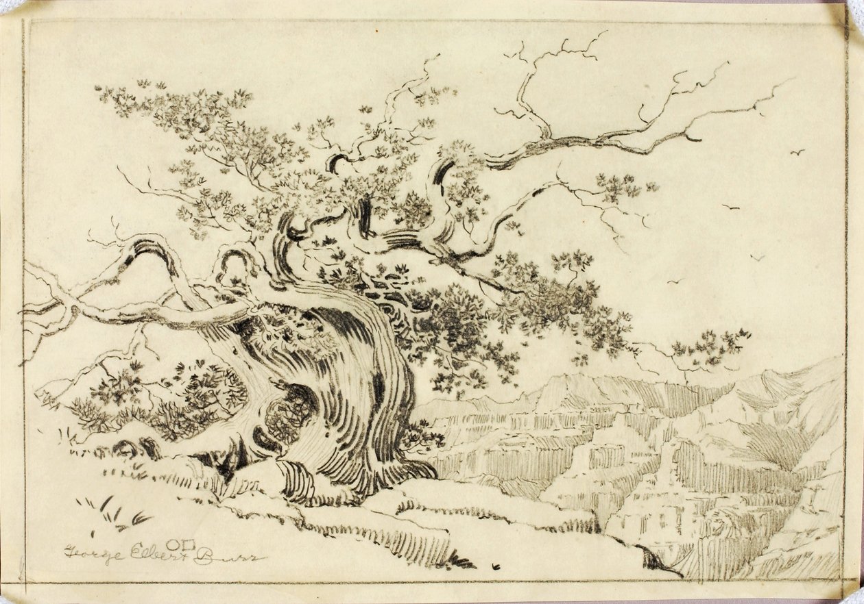 Sem título (desenho de transferência para Entardecer, Apache Trail, Arizona) de George Elbert Burr
