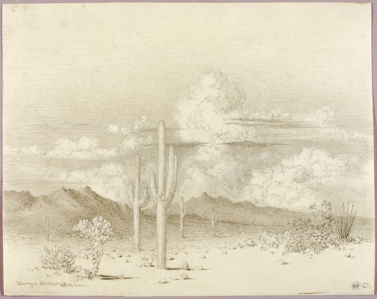 Sem título (desenho de transferência para Entardecer, Paradise Valley, Arizona) de George Elbert Burr