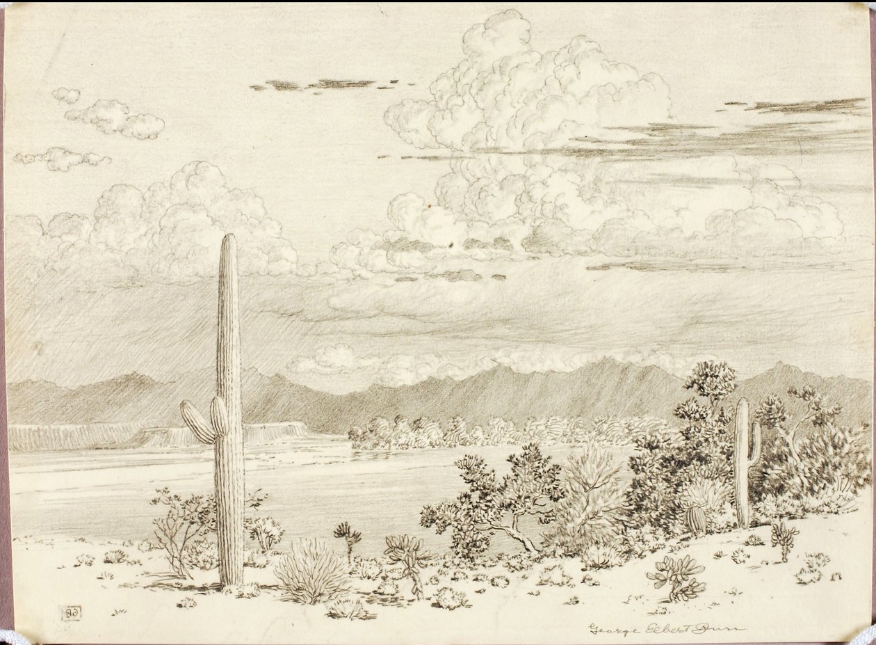 Sem título (desenho por transferência para o rio Verde, Reserva Apache, Arizona) de George Elbert Burr
