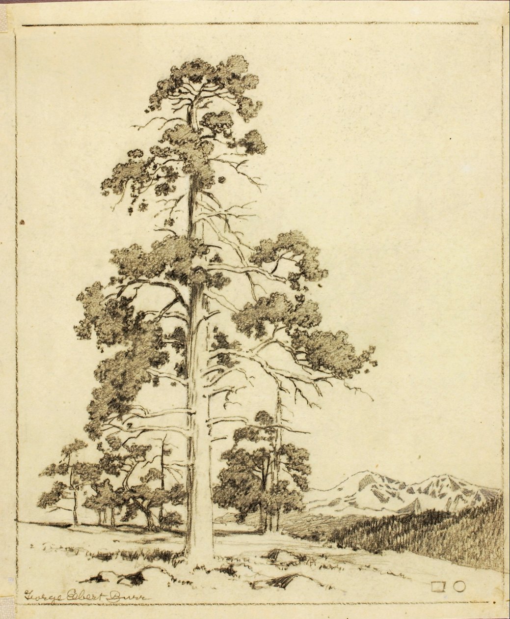 Sem título (desenho de transferência para impressão) de George Elbert Burr