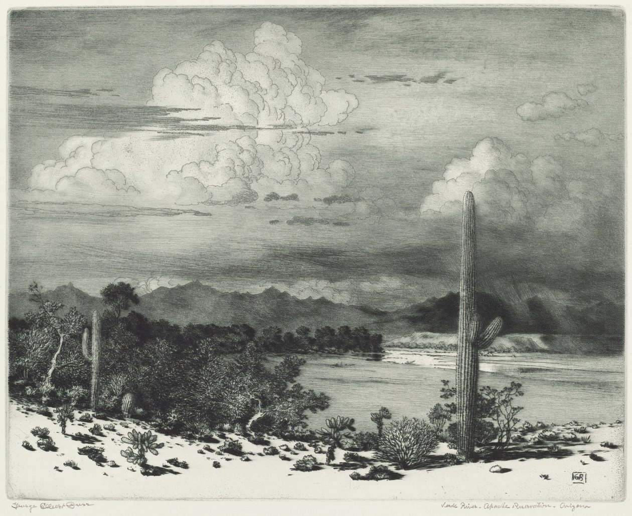 Rio Verde, Reserva Apache, Arizona de George Elbert Burr