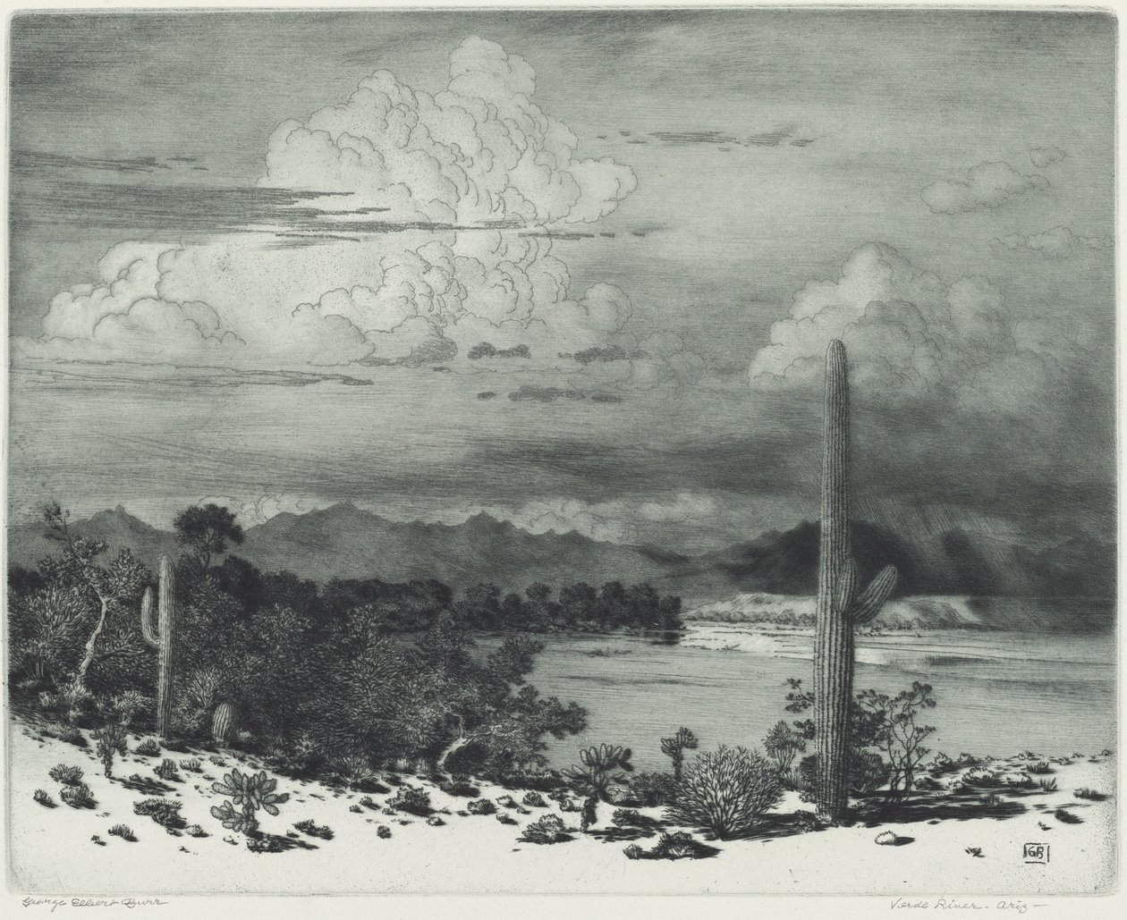 Rio Verde, Arizona de George Elbert Burr