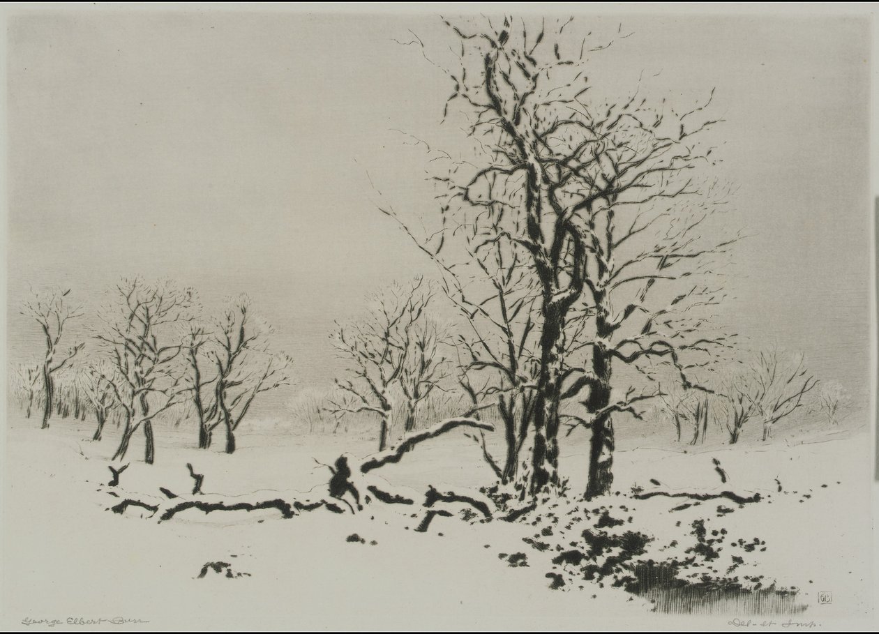 Inverno (n.º 1) de George Elbert Burr
