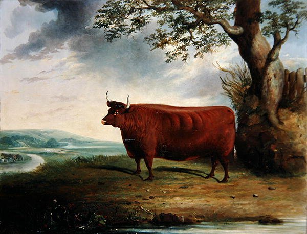 Retrato de uma Vaca Castanha de George Fenn