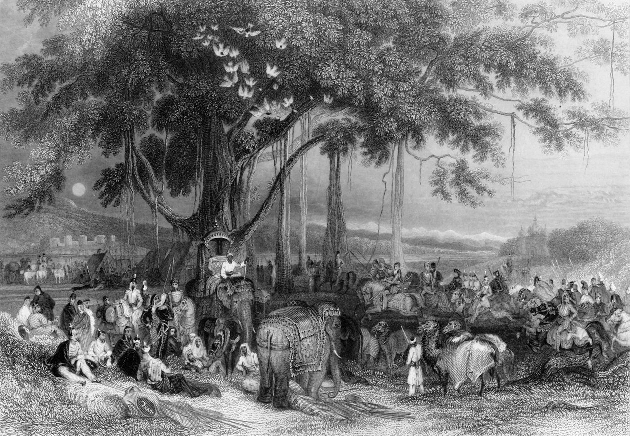 Floresta. de George Francis White