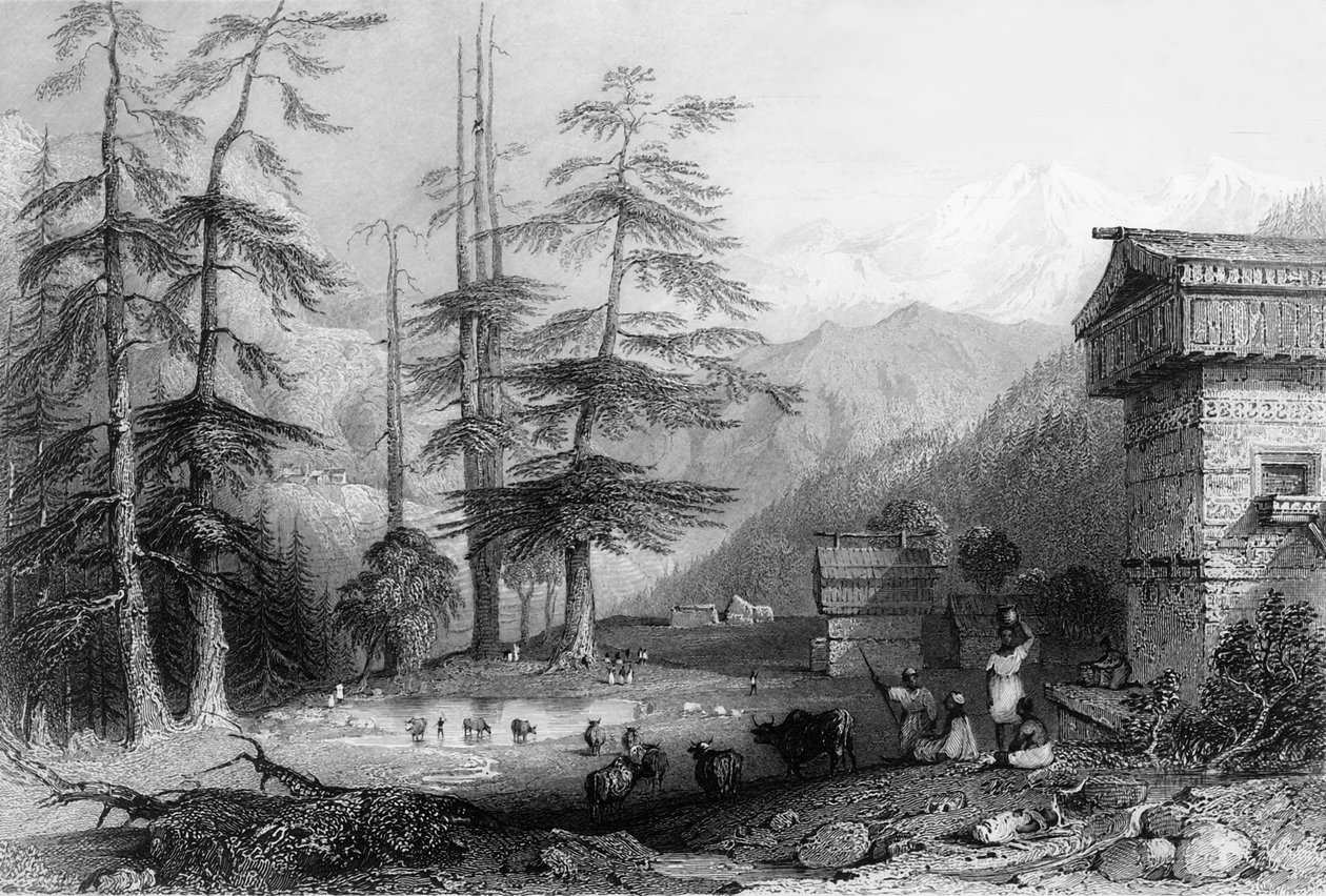 Floresta. de George Francis White