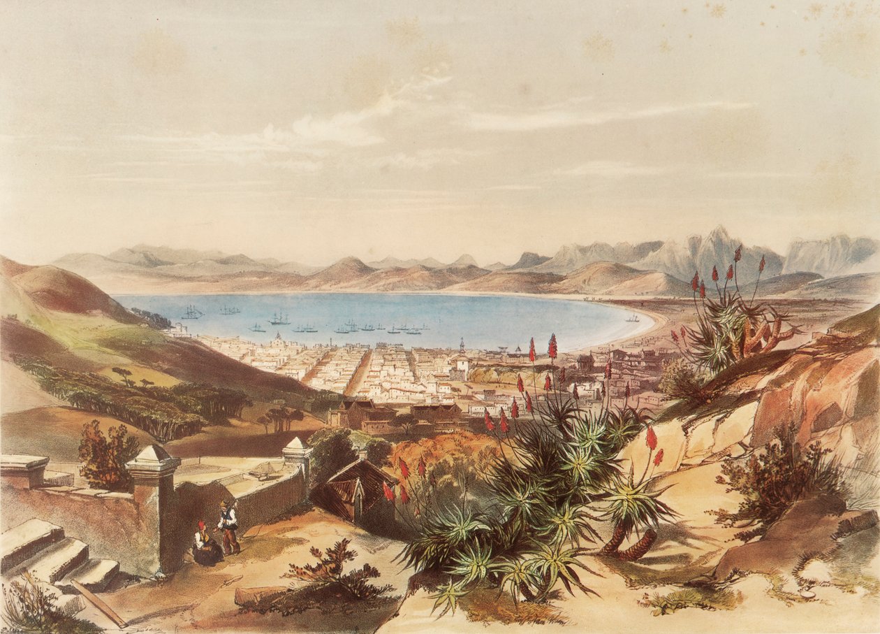Cidade do Cabo de George French Angas