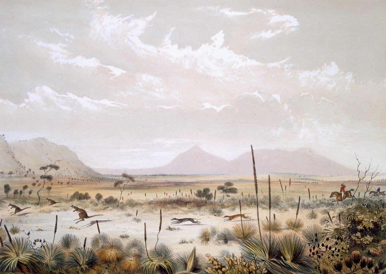 Canguru Caça perto de Port Lincoln, de &39;South Australia Illustrated&39;, publicado em 1847 (gravura colorida à mão) de George French Angas