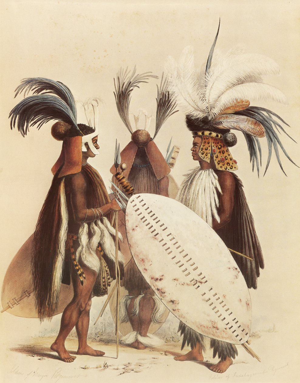O exército Zulu de George French Angas