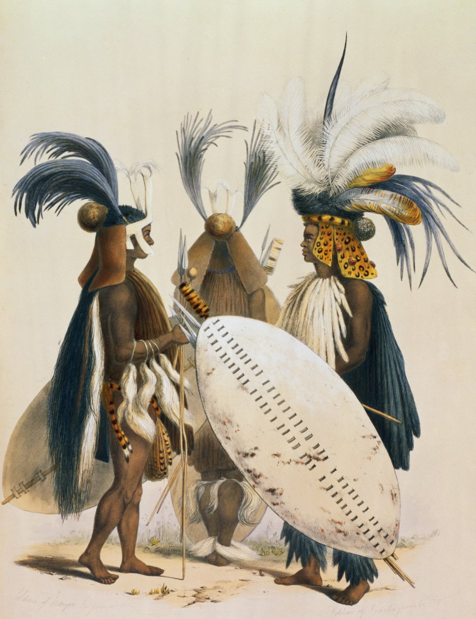 Soldados Zulu do Exército do Rei Panda, placa 20 de &39;The Kafirs Illustrated&39;, 1849 de George French Angas