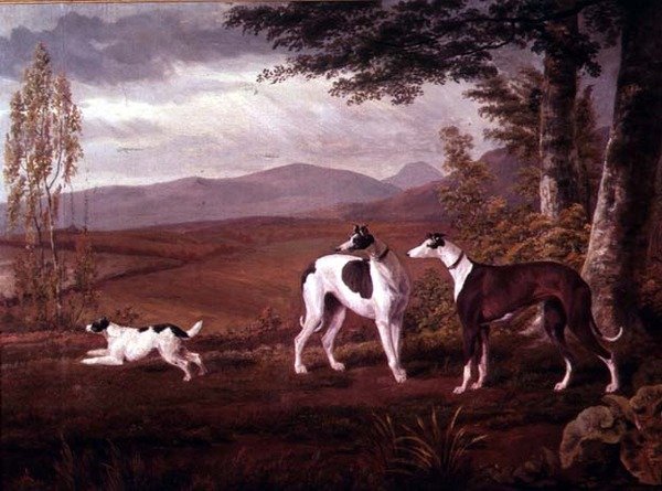 Greyhounds numa paisagem de George Garrard