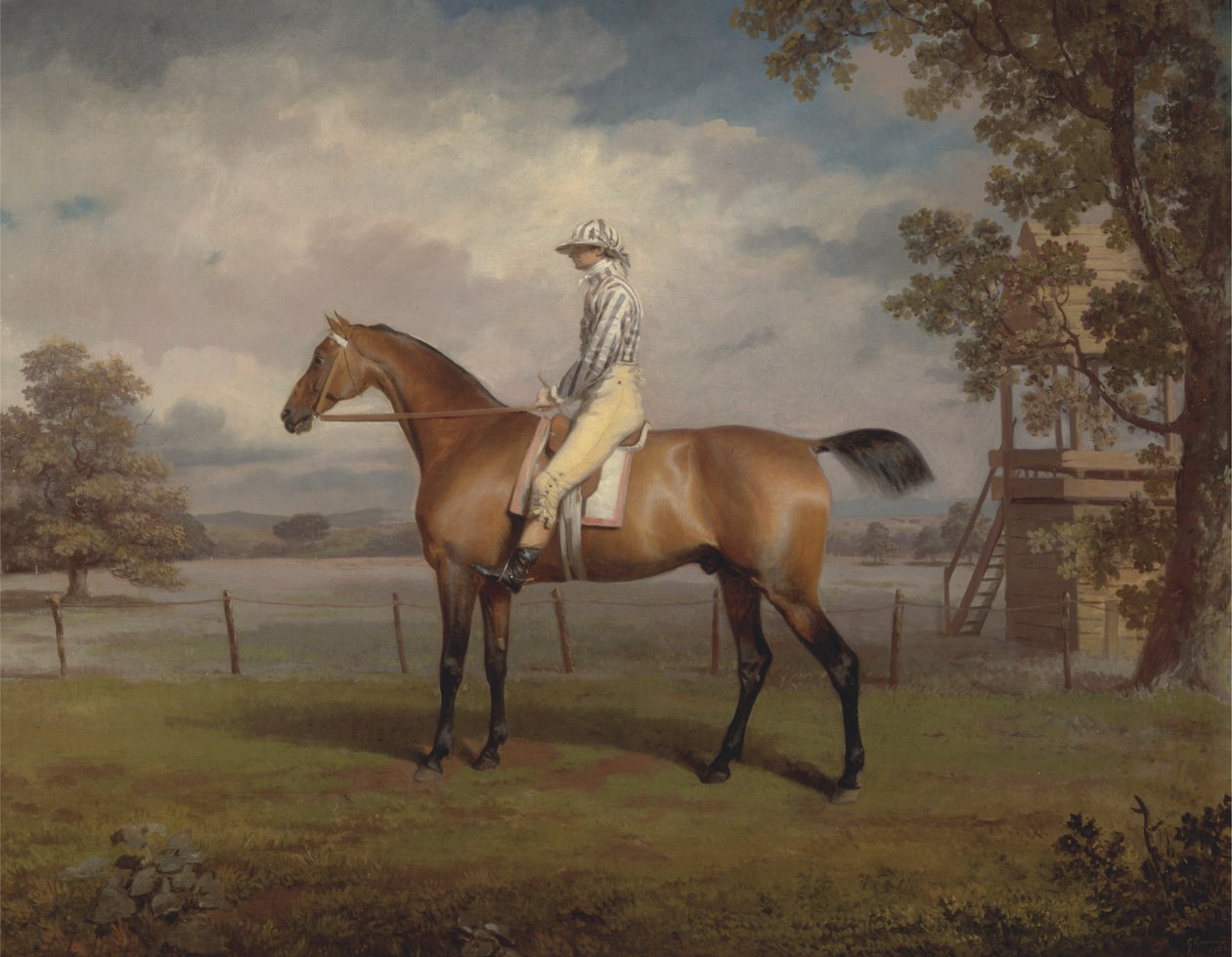 Retrato de um cavalo de corrida, Possivelmente Disfarce, Propriedade do Duque de Hamilton, com Jockey Up de George Garrard