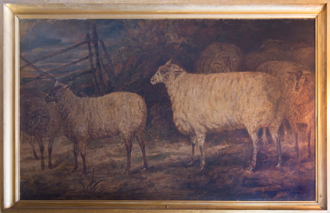 A melhoria da raça de ovelhas do Sul em Holkham em Norfolk, 1793-1807 de George Garrard