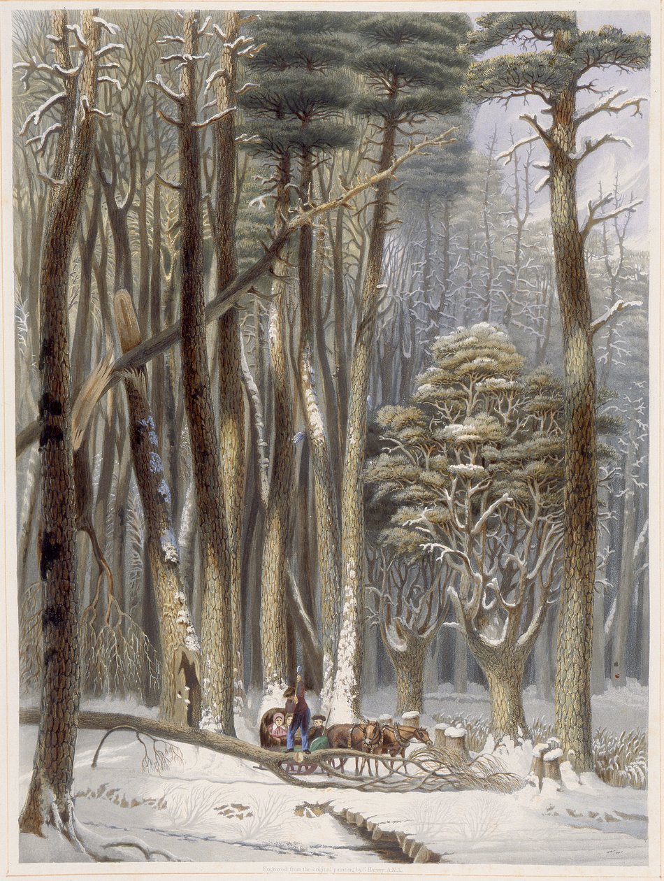 Inverno, Viajantes Impedidos em uma Floresta de Pinheiros, de Harveys Cenas da Floresta Primitiva da América, 1841 (aquatinta colorida à mão) de George Harvey
