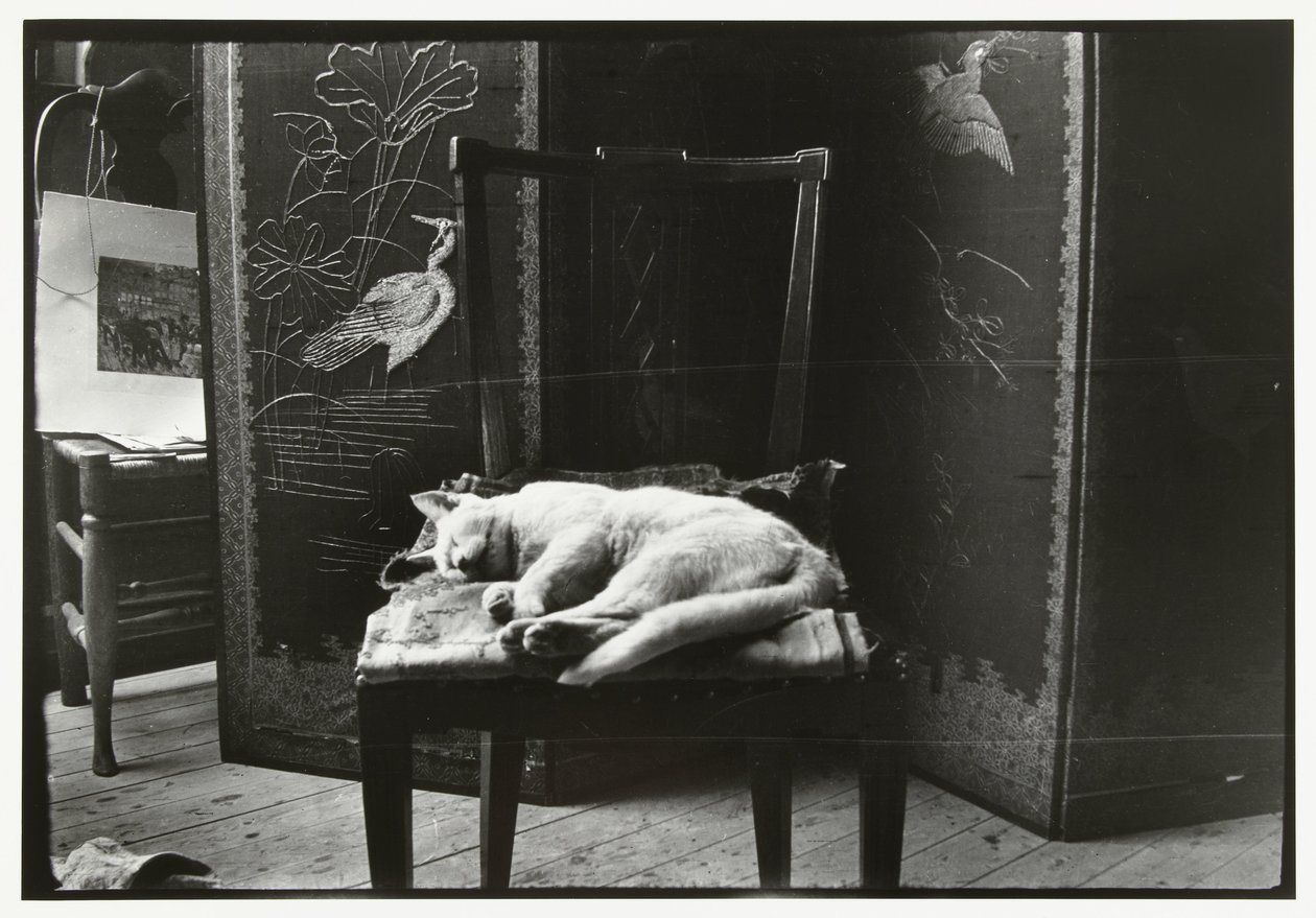 Gato em uma cadeira no estúdio de Breitner em Amsterdã de George Hendrik Breitner