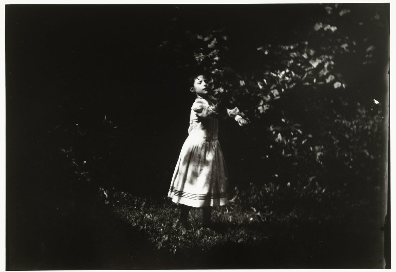 Retrato de uma menina em um jardim de George Hendrik Breitner