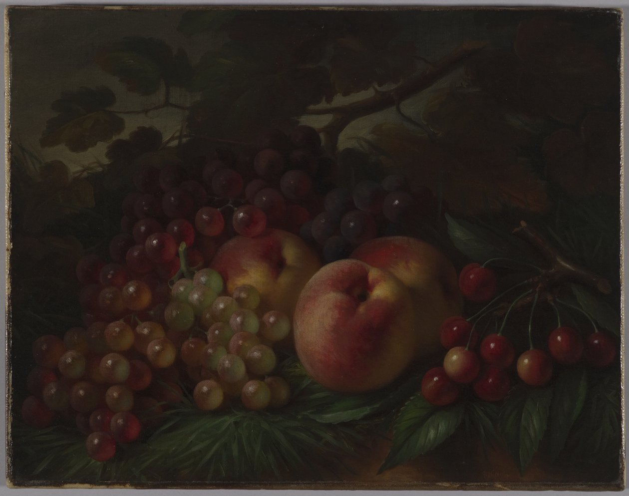 Pêssegos, uvas e cerejas, c.1860-70 (óleo sobre tela) de George Henry Hall