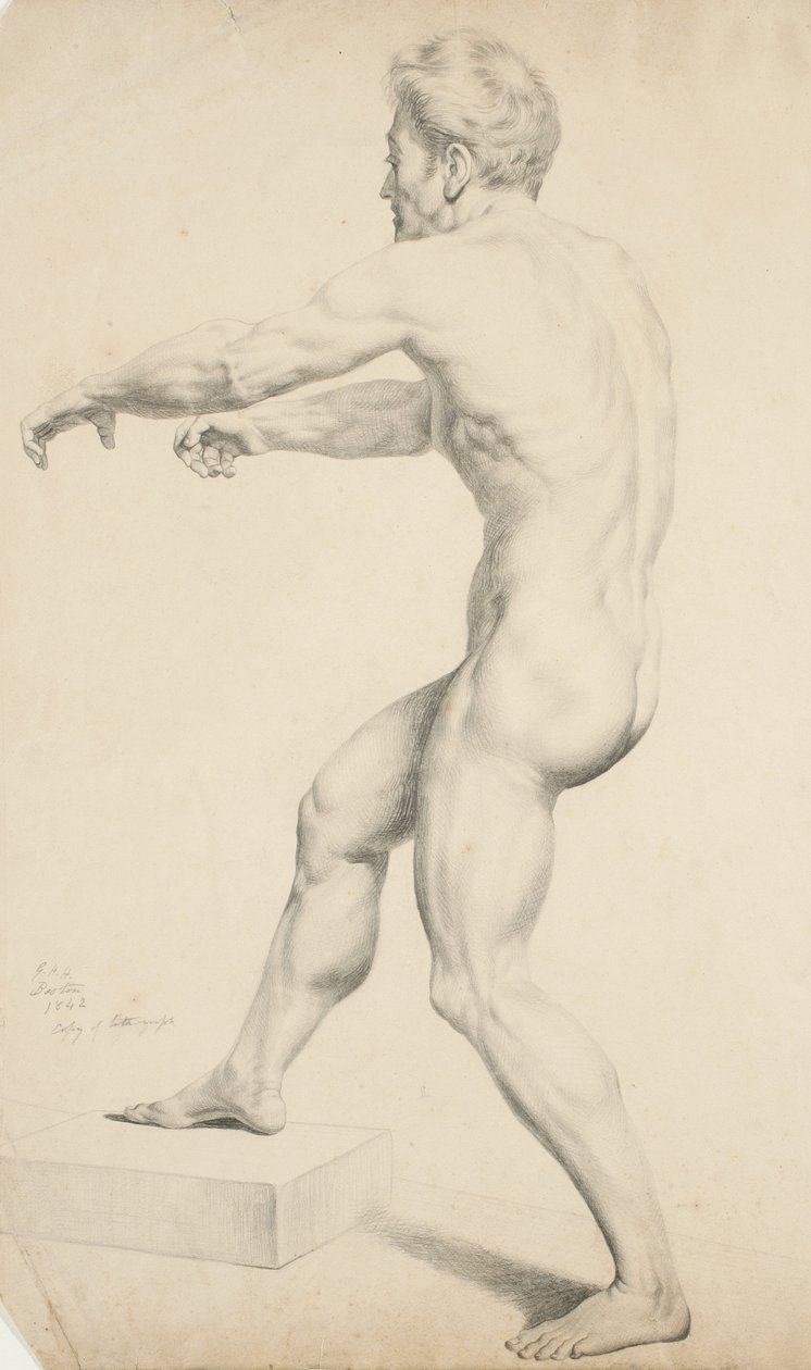 Untitled - Macho nu copiado de uma litografia de 1842 (grafite em papel de capa amarela) de George Henry Hall