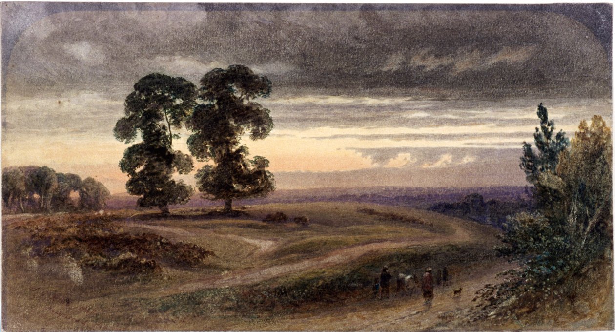 Vista geral de Hampstead, Londres, 1849 de George Henry Hine
