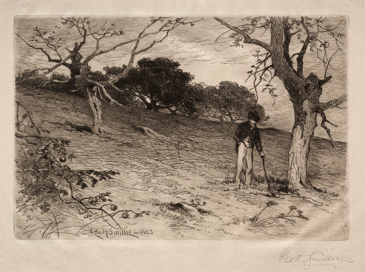 Um pomar velho de Nova Inglaterra, 1883. de George Henry Smillie
