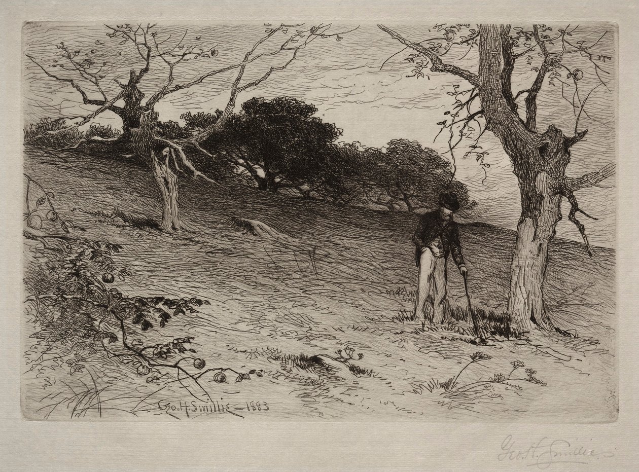 Paisagem, 1883. de George Henry Smillie