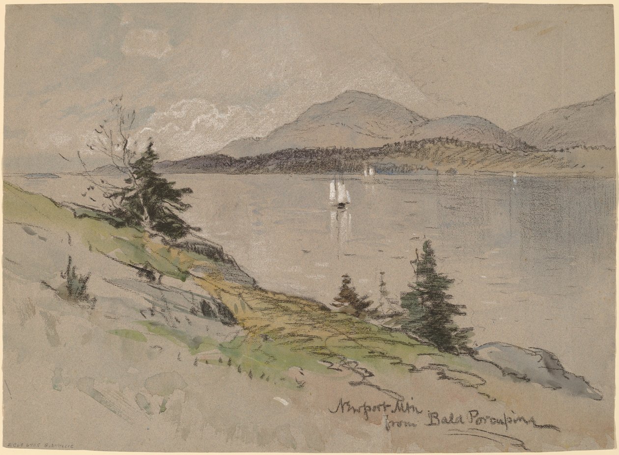 Newport Mountain from Porcupine Careca de George Henry Smillie