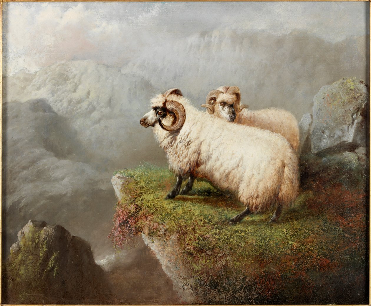 Ovelha em uma borda do penhasco, c.1865-68 de George Hepper