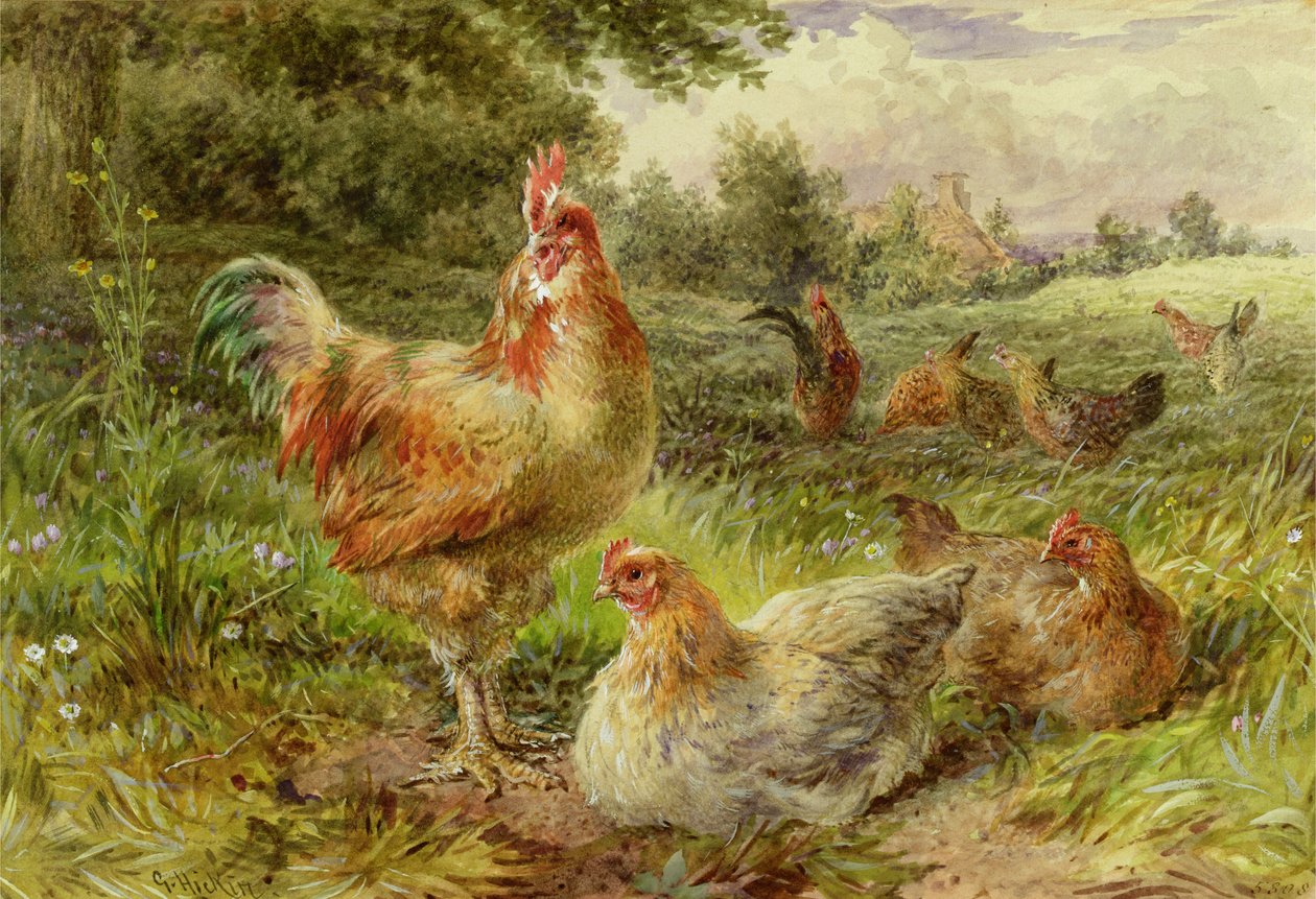 Cochin China Fowls de George Hickin