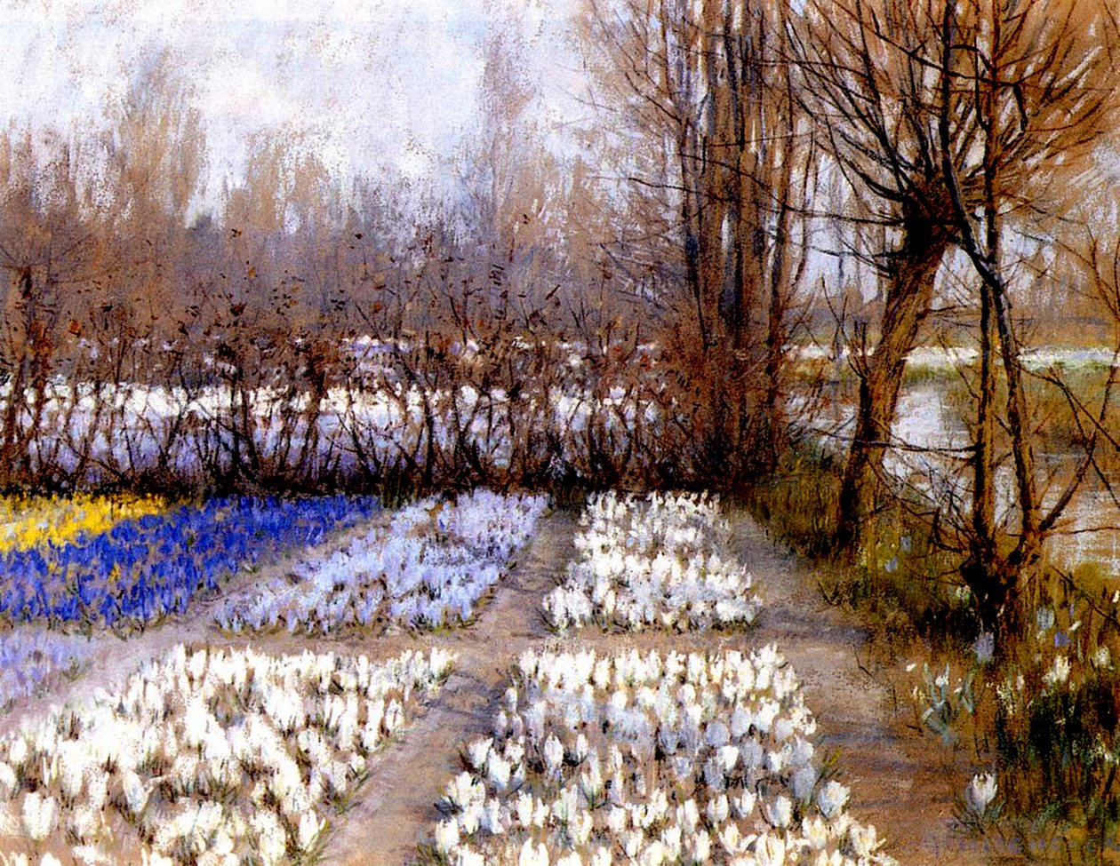 Um campo de açafrão na primavera, c.1889 (pastel sobre papel) de George Hitchcock