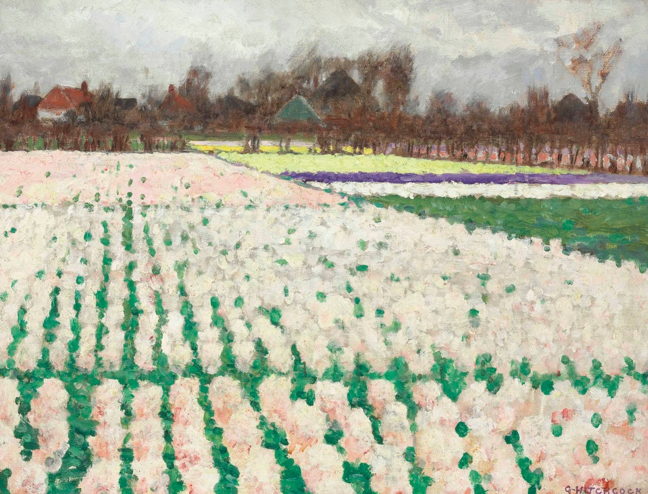 Campos de jacintos de George Hitchcock