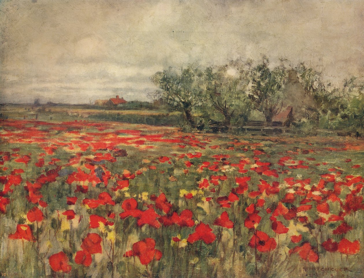 O campo da papoila, c1900, c1915 de George Hitchcock