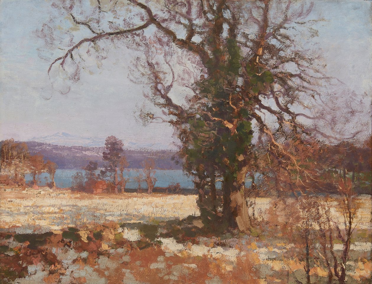 Sol de Inverno (óleo sobre tela) de George Houston