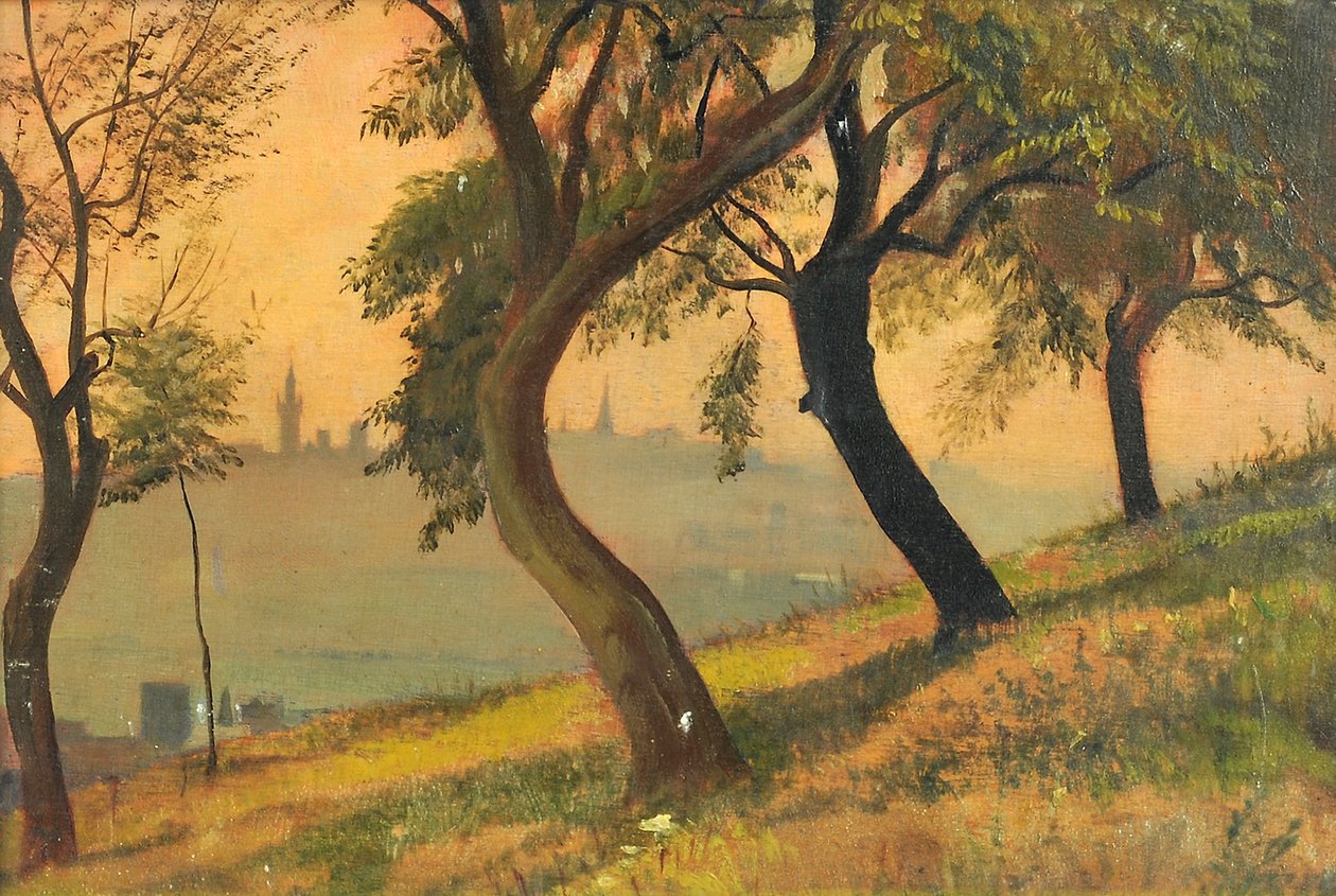 Friedberg em Hesse do Johannisberg Nauheim, 1903 de George Howard