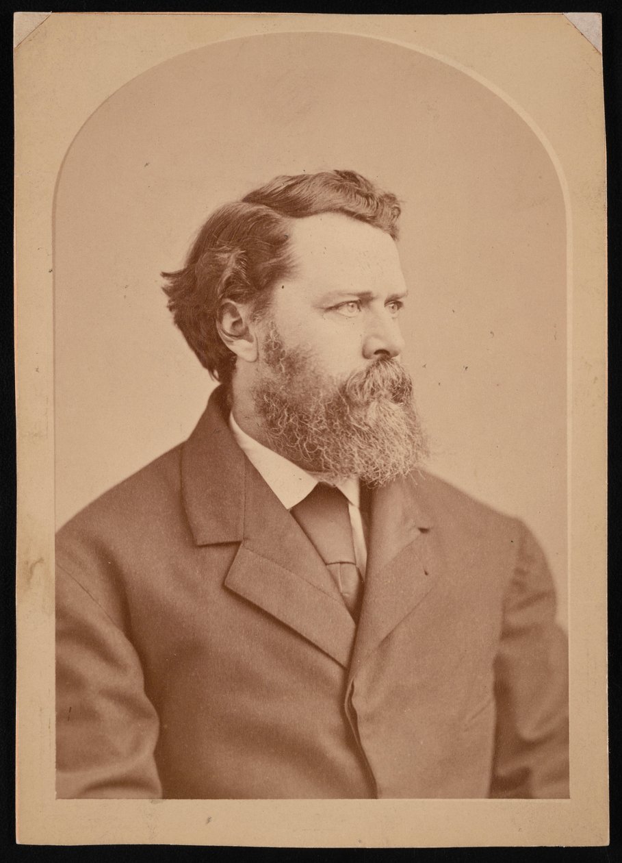 Retrato de Oliver Wolcott Gibbs 1822-1908, entre 1870 e 1873. de George K Warren