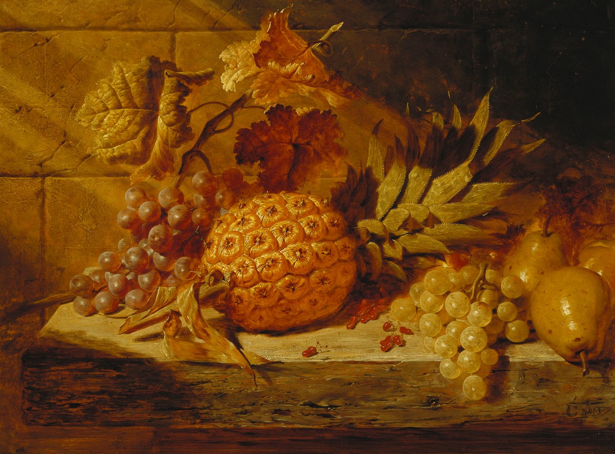 Uvas em preto e branco, peras, groselhas e um abacaxi em uma borda, 1845 de George Lance