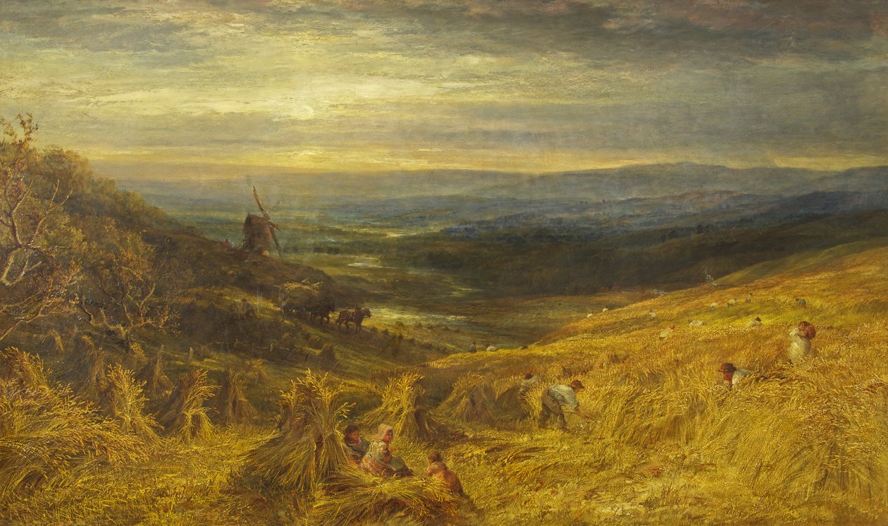 A Surrey Cornfield, c.1877 (óleo sobre tela) de George Lucas