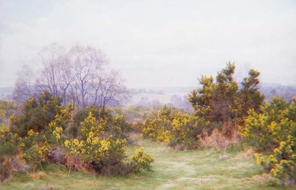 Um Surrey Common (aguarela) de George Marks