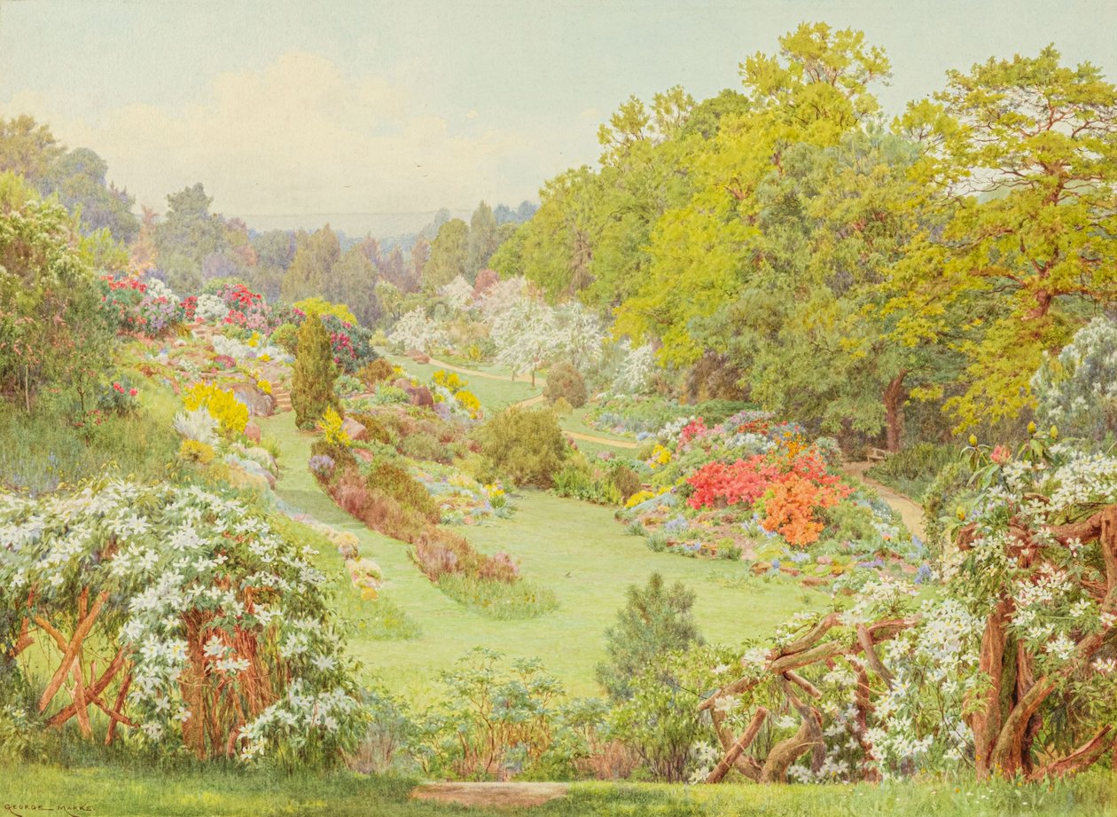 Flores da primavera (aguarela) de George Marks
