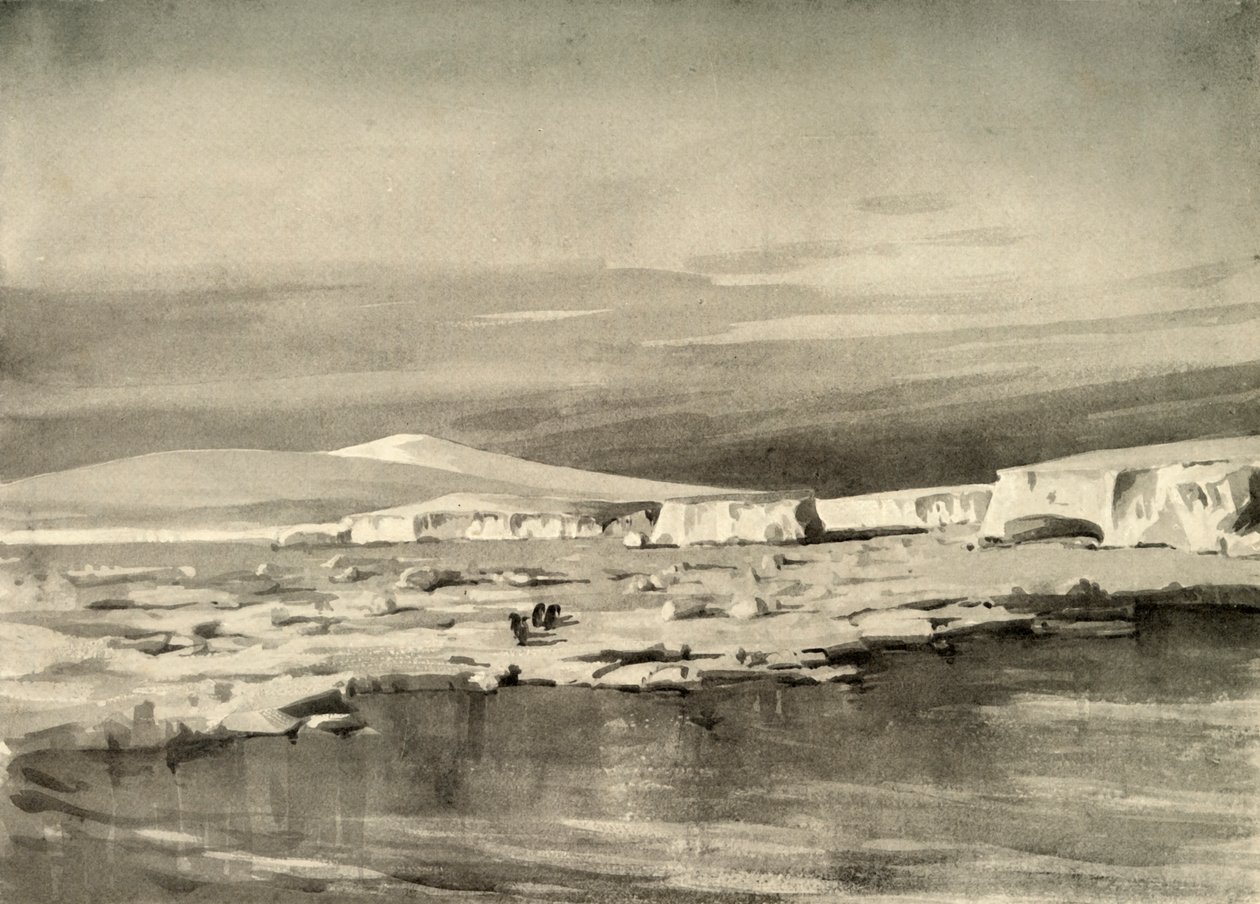 Baía das baleias, ou Balloon Bight, c1908, 1909. de George Marston