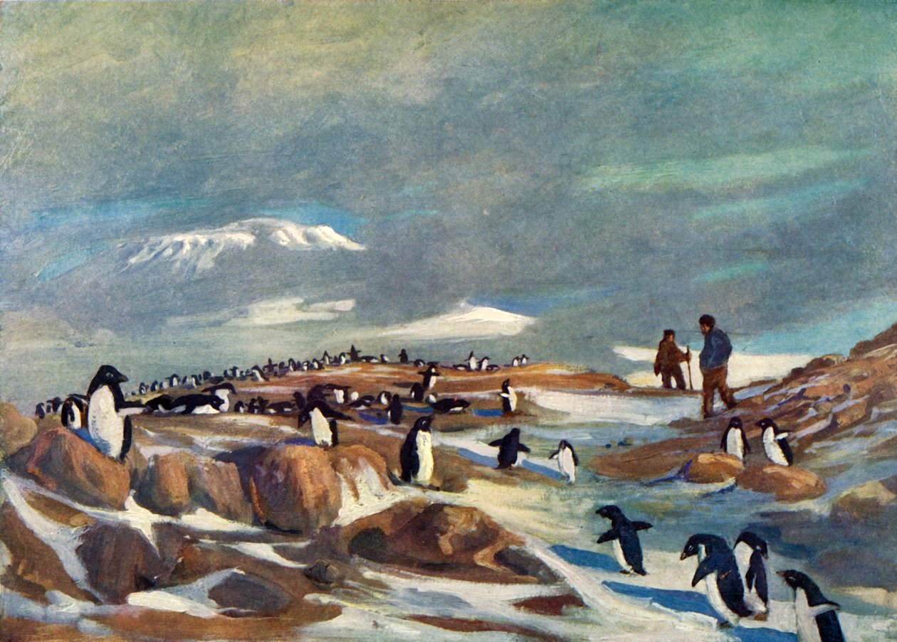 Retorno dos pinguins, c1908, 1909. de George Marston