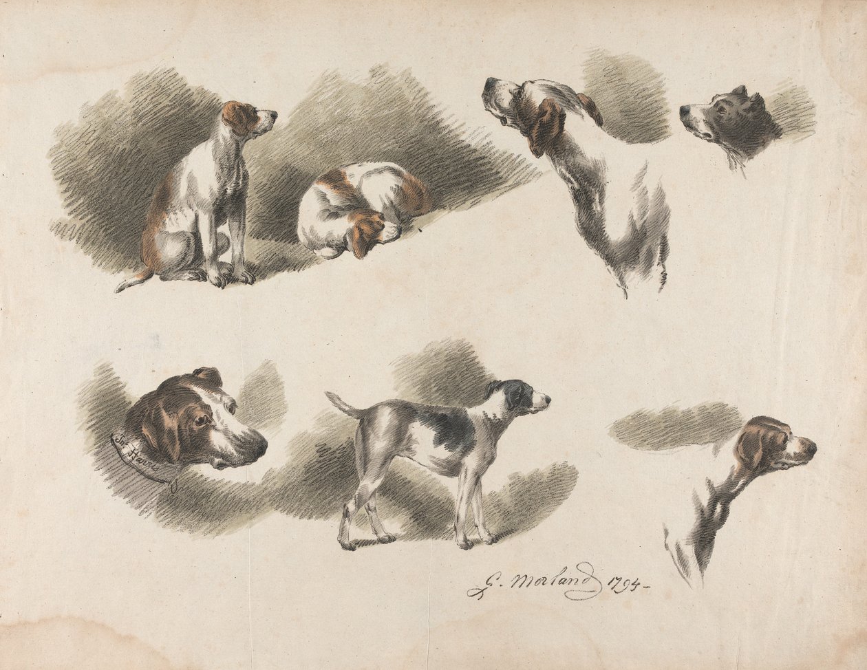 Animais - Sete estudos de um cão de caça numa folha. «Jno. Harris» na coleira do cão de caça em baixo à esquerda de George Morland