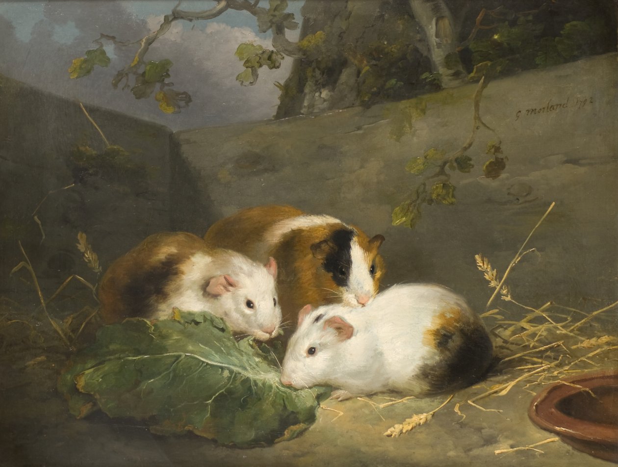 Cobaias de George Morland