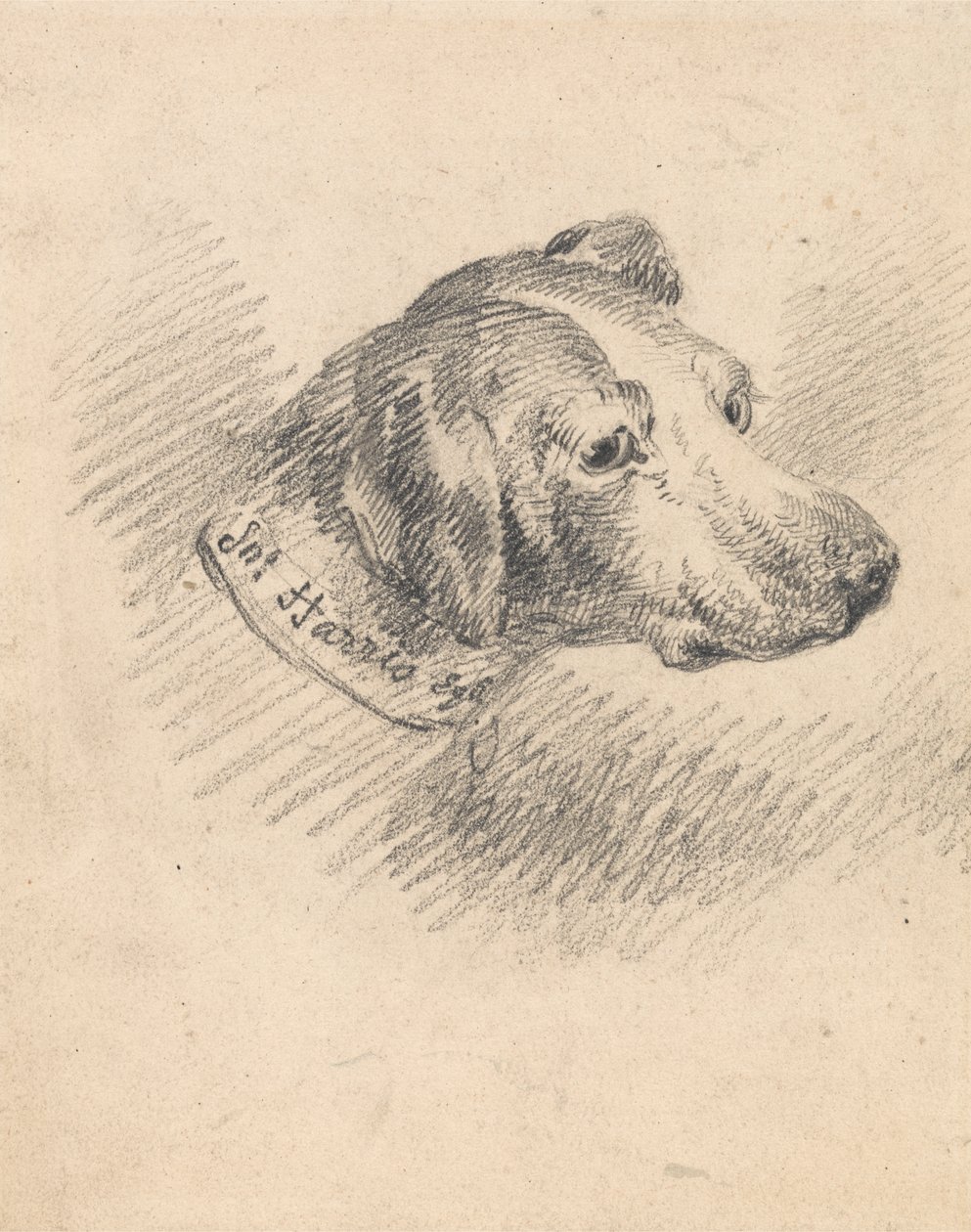 Chefe de um cão de caça de George Morland
