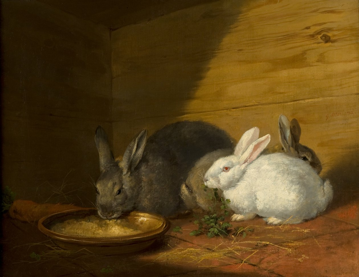 Coelhos de George Morland
