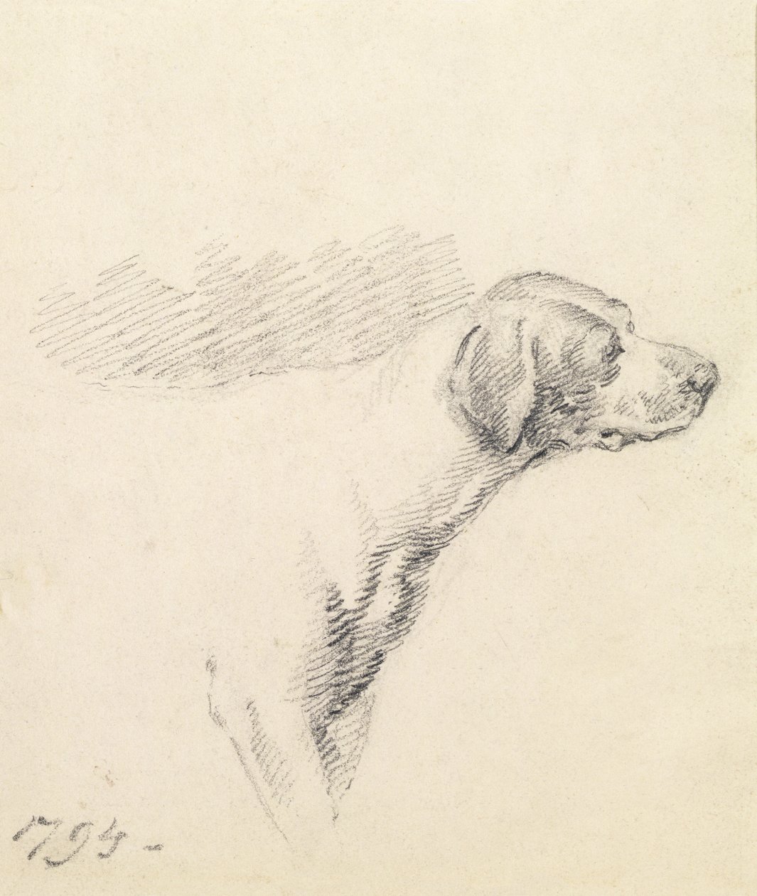 Estudo de um cão de caça, 1794 de George Morland